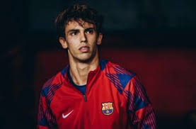 沪媒：莱昂纳多伤势没完全康复，刘若钒等人也有不同程度伤病